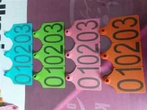 Lazer Baskılı Kulak Küpesi (Büyükbaş & Küçükbaş)