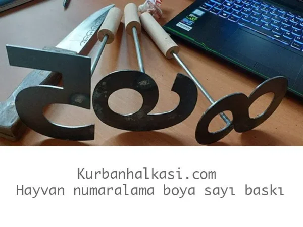 Buyukbas-Hayvan-Numara-Isaretleme-Soguk-Damga-Seti-11-cm.jpg 11 cm Metal Boya Numaratör Şablon Seti - Detay Görsel 6