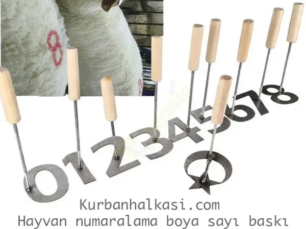 Buyukbas-Hayvan-Numara-Isaretleme-Soguk-Damga-Seti-11-cm_6.jpg 11 cm Metal Boya Numaratör Şablon Seti
