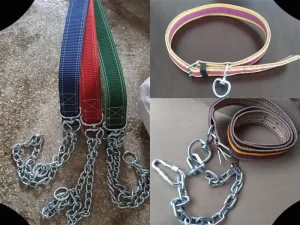 Büyükbaş ve Küçükbaş İçin Dayanıklı Deri Boğa Tasması