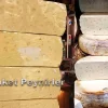 Maket-peynirler.jpg Kars Eski Kaşar Peyniri Vitrin Maketi (Tam Teker - 12 kg) - Detay Görsel 2