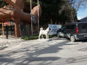 Sivas Kangal Köpeği Duvar Rölyefi & Figürü