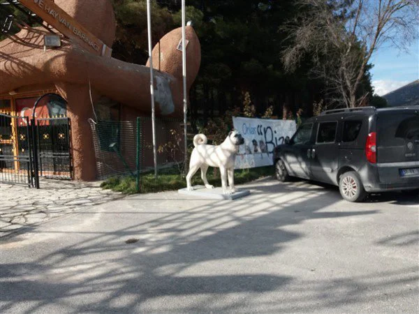 WhatsApp-Image-2020-08-20-at-16.12.26-2.jpg Sivas Kangal Köpeği Duvar Rölyefi & Figürü