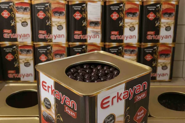 gemlik-sofralik-zeytin-1.jpg Doğal Sofralık Kahvaltılık Siyah Zeytin (10 kg / 20 kg Teneke) - Detay Görsel 2