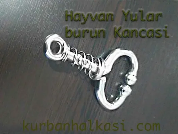hayvan-burun-kancasi-yular-muset.jpg Galvaniz Demir Büyükbaş Burun Muşeti (Kıskaç)