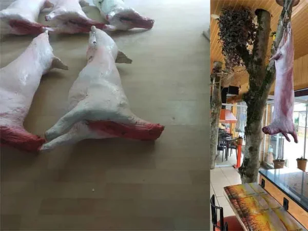 kuzu-karkas_2.jpg Kasap Vitrin Tipi Gerçekçi Kuzu Karkas Et Maketi - Detay Görsel 3