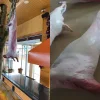 kuzu-vitrin-aski.jpg Kasap Vitrin Tipi Gerçekçi Kuzu Karkas Et Maketi