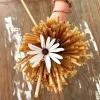 natural_drinking_wheat_straw_7cce5e42-3ac5-421c-a59a-a0bf0b2929e5_720x.jpeg Doğal Buğday Sapı Pipet 5-6 mm (500'lü Paket)