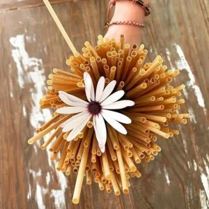 Doğal Buğday Sapı Pipet 5-6 mm (500'lü Paket)