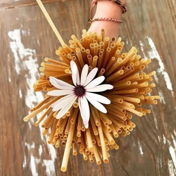 natural_drinking_wheat_straw_7cce5e42-3ac5-421c-a59a-a0bf0b2929e5_720x.jpeg Doğal Buğday Sapı Pipet 5-6 mm (500'lü Paket)