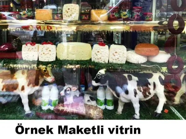 ornek-maketli-vitrin.jpg Kars Eski Kaşar Peyniri Vitrin Maketi (Tam Teker - 12 kg) - Detay Görsel 3
