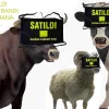 satildi-goz-bandi.jpg Kurban Satıldı İkaz Bandı (5'li Paket)