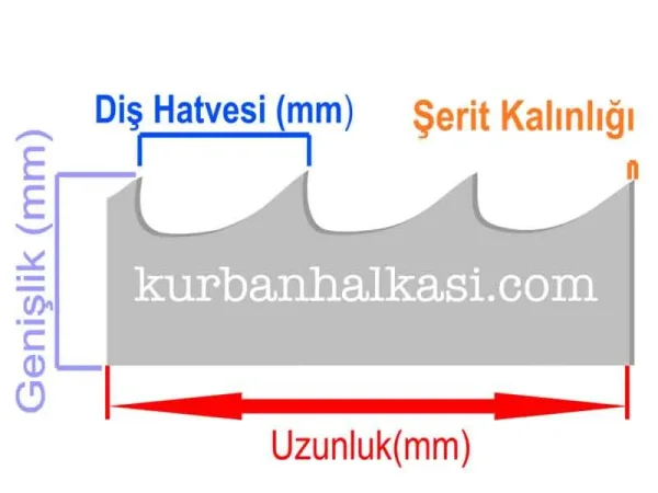 testere-serit-olculeri.jpg Kasap Et ve Kemik Şerit Testere Bıçağı (Hızar Ağzı) - Detay Görsel 3